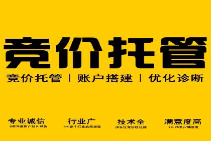 SEM外包公司成功案例：提升品牌曝光度
